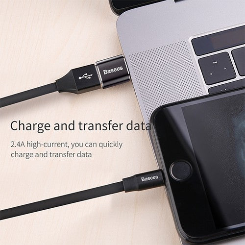 Baseus Mini USB Female to Type-C Male Adapter Converter Black